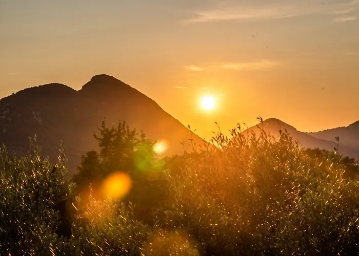 Πανσιόν Hawaii Πέλεκας